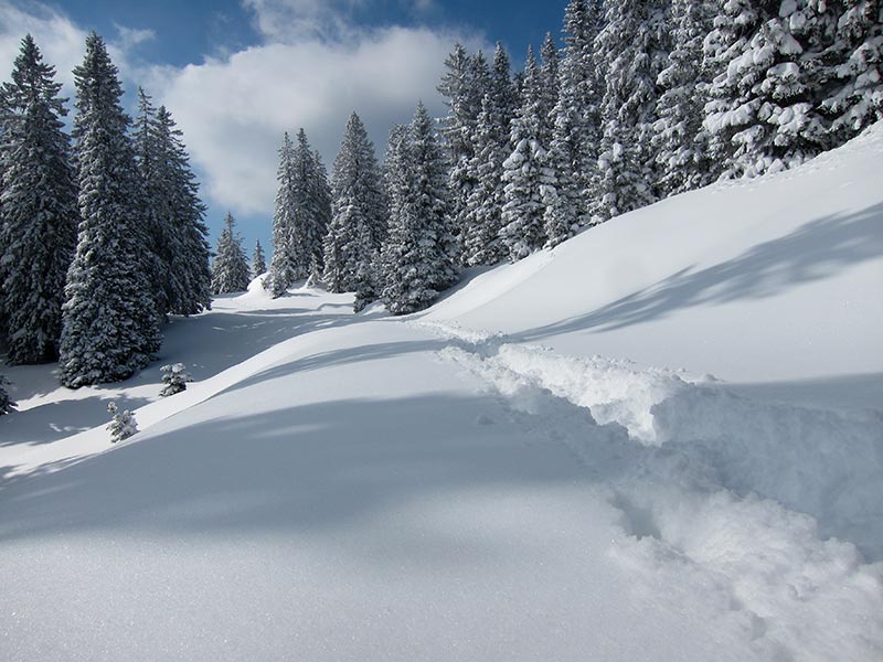 Kuhschneeberg